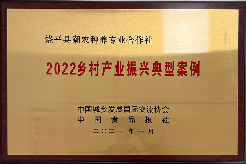 2022乤˵䷶